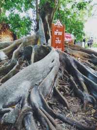 คำชะโนด