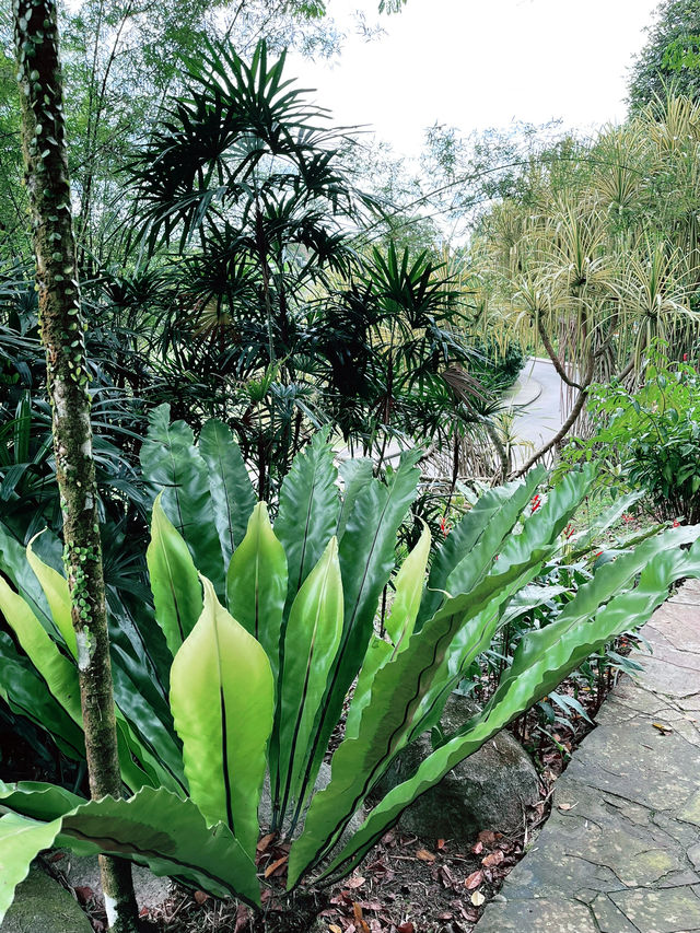 Perdana Botanical Garden: Must-Visit Lush Green Retreat