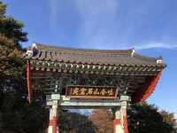🕊️ 경주, 불국사와 석굴암에서 만난 신비로운 역사