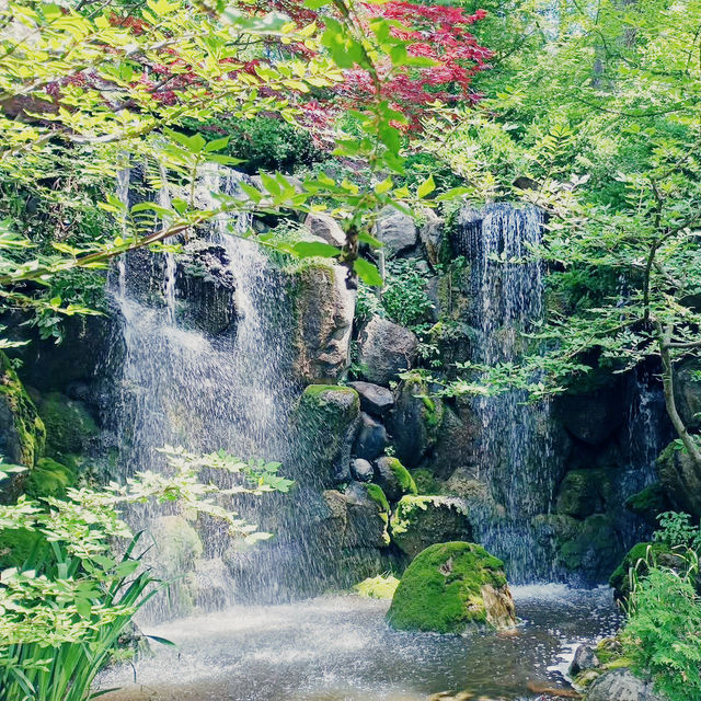 A Midwest Sanctuary: My Solo Day at Anderson Japanese Gardens, Rockford