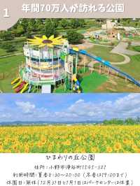 【兵庫】公園ピクニックスポット7選