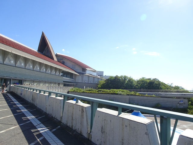 【島根県】バブルリングシロイルカのショーで感動！