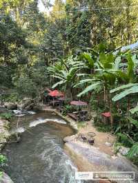 สมศรีมีกาแฟ คาเฟ่ริมน้ำ กลางป่า กลางใจ 🍃☕️