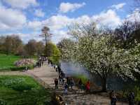 🇬🇧London in 1 Day  เที่ยวช่วงSpring สุดโรแมนติก!