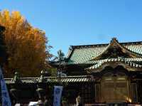 🍁ชมฤดูใบไม้เปลี่ยนสีที่อุเอโนะ (Ueno Park)