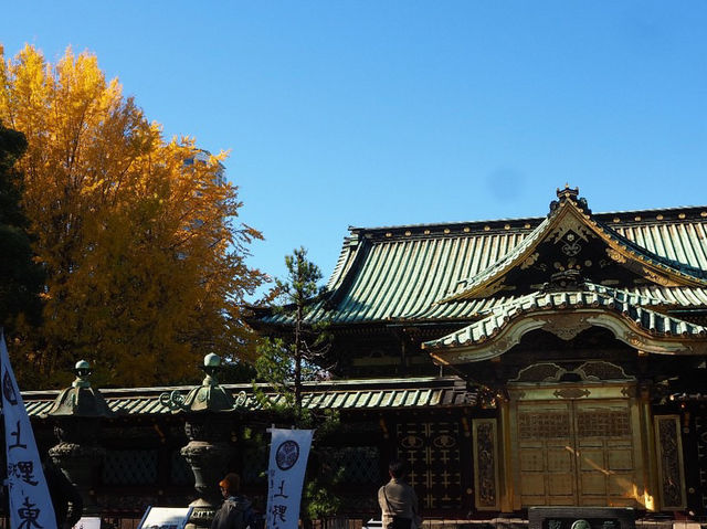 🍁ชมฤดูใบไม้เปลี่ยนสีที่อุเอโนะ (Ueno Park)