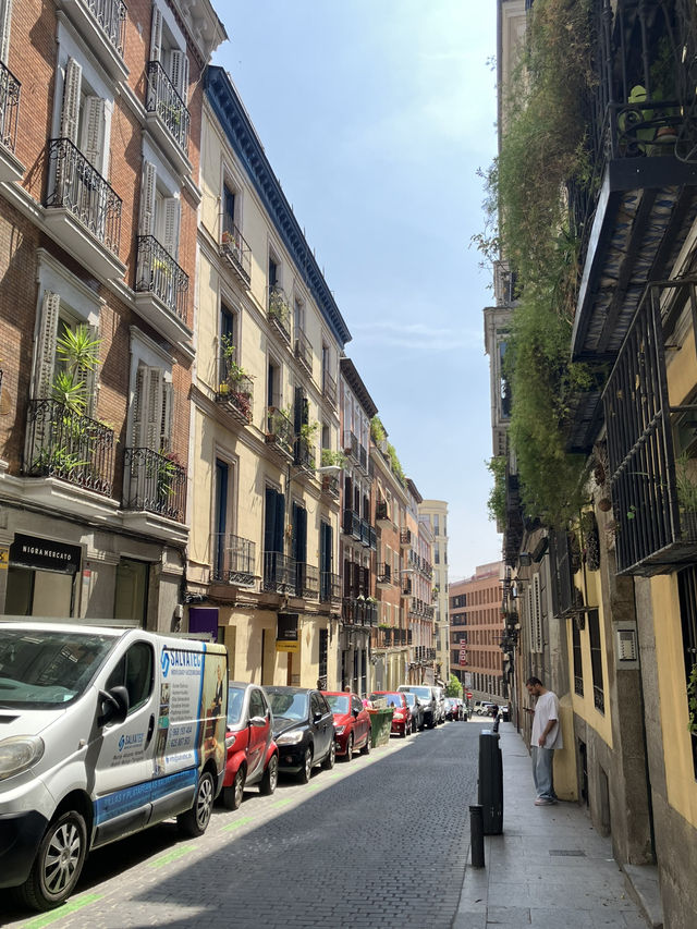 マドリード散歩🇪🇸スペイン旅 マドリード散歩🇪🇸スペイン旅