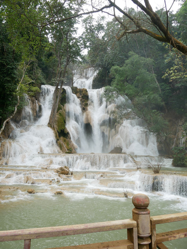 【ラオス🇱🇦】クアンシーの滝