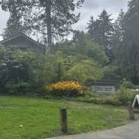 Washington Park Arboretum