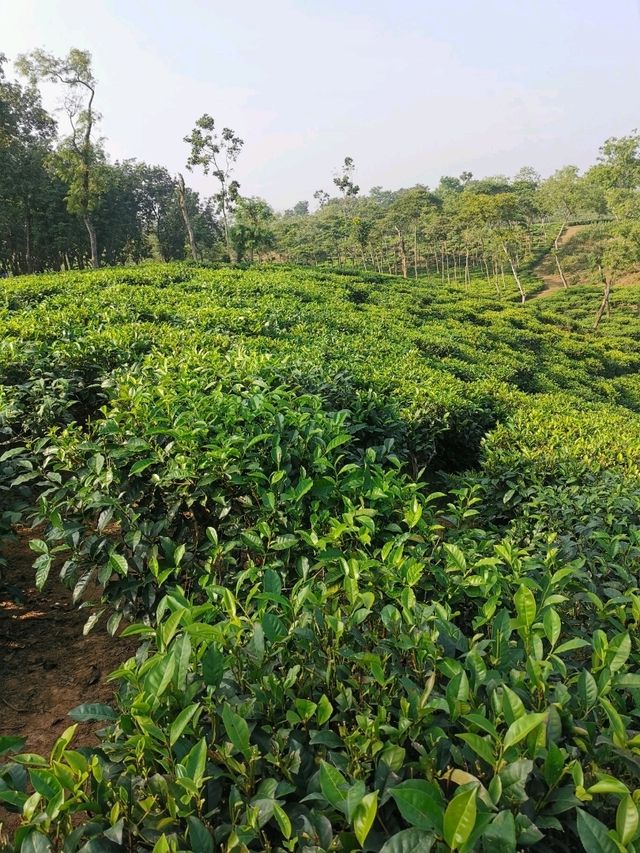 Good place Good place