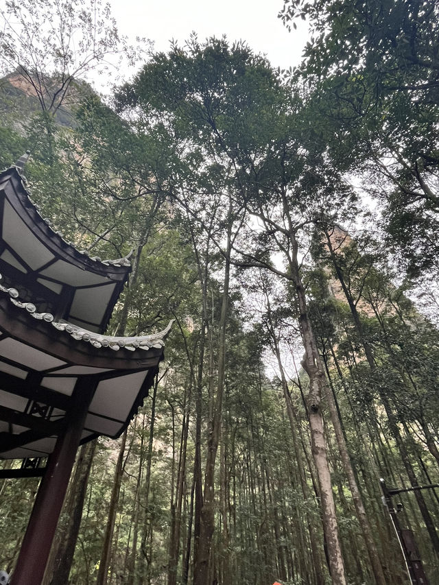 🌲 Zhangjiajie National Forest Park — The Ultimate 2-Day Guide for First-Timers 🌄