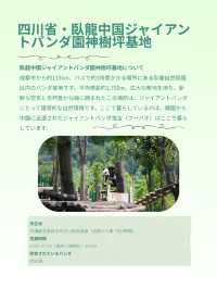 シャンシャンに会いたい！中国・四川省でパンダに会える場所