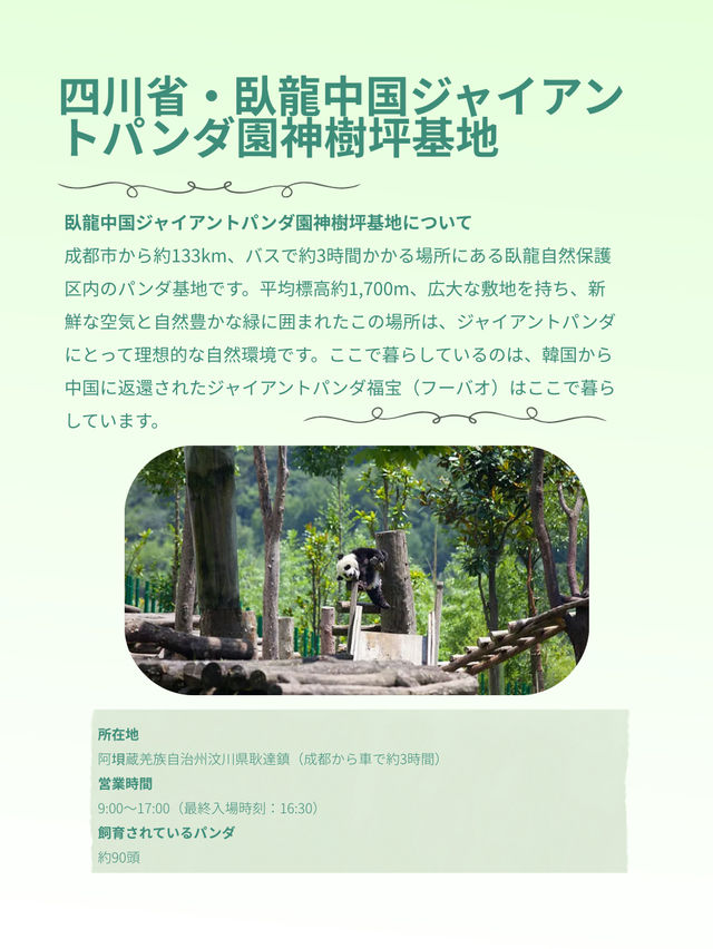 シャンシャンに会いたい！中国・四川省でパンダに会える場所