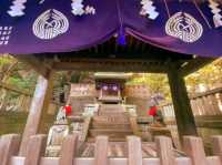 🌸 Nezu Shrine – A Serene Escape in Tokyo’s Old Neighborhood