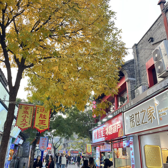🚶‍♀️Jinan City Walk — From Springs to Old Streets