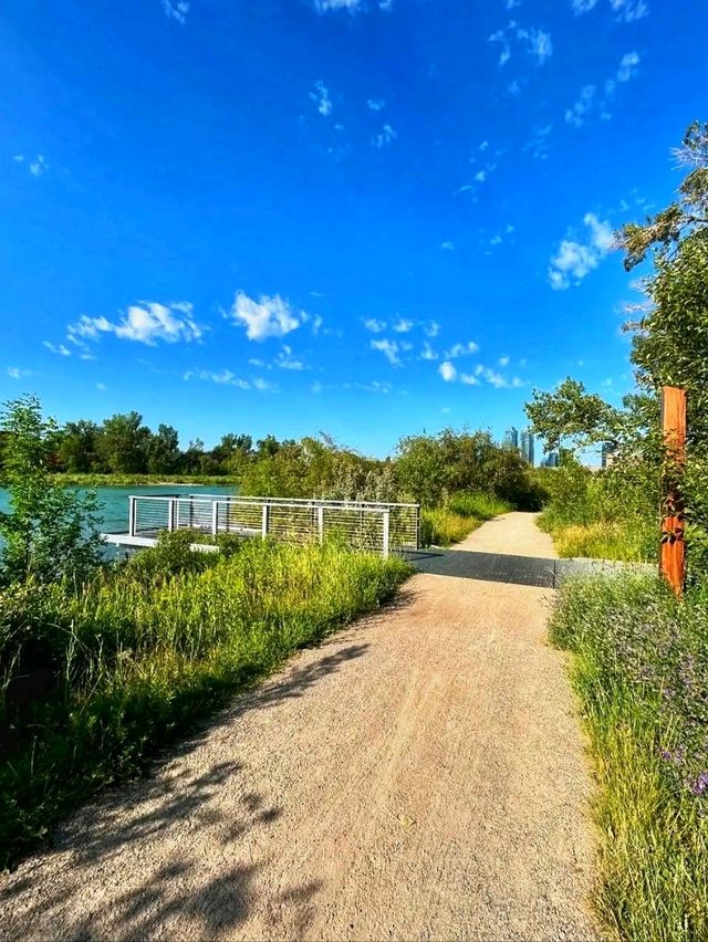 🌿 St. Patrick’s Island – Calgary’s Urban Nature Escape