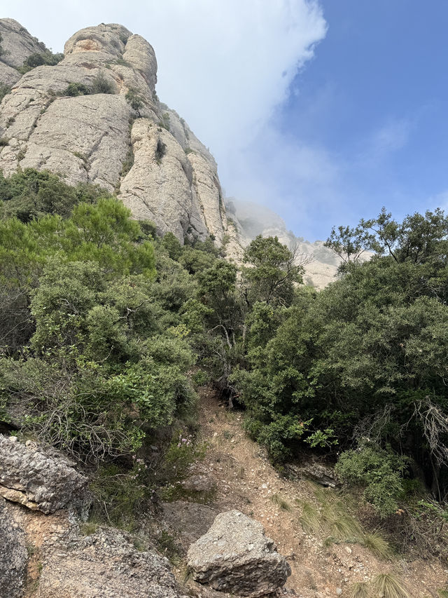 ๋ฐ๋ฅด์
๋ก๋ ๊ทผ๊ต ๋ชฌ์ธ๋ผํธ ์๋์! ์ง๊ธ ๋ฐ๋ก ํ์ธํ์ธ์๐ค ๋ฐ๋ฅด์
๋ก๋ ๊ทผ๊ต ๋ชฌ์ธ๋ผํธ ์๋์! ์ง๊ธ ๋ฐ๋ก ํ์ธํ์ธ์๐ค