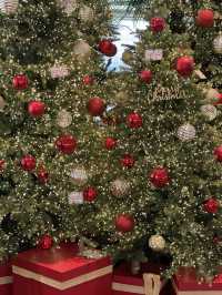 🎄 겨울에 더 깊어지는 포레스트 감성, 용인 포레스트아웃팅스 🎄