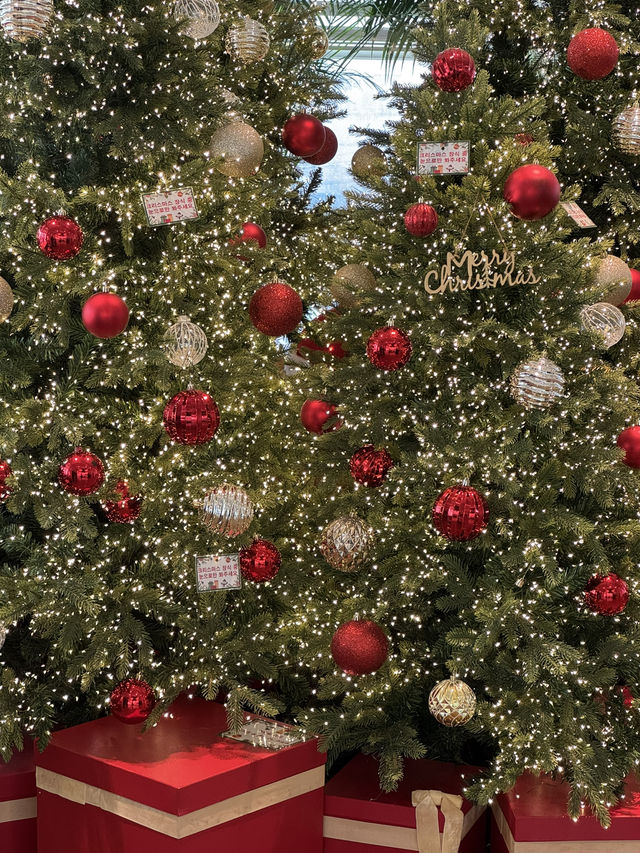 🎄 겨울에 더 깊어지는 포레스트 감성, 용인 포레스트아웃팅스 🎄 🎄 겨울에 더 깊어지는 포레스트 감성, 용인 포레스트아웃팅스 🎄