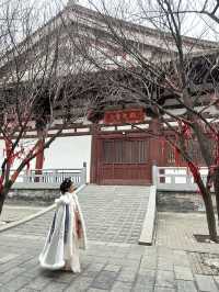 Xi'an Ancient Walk🏯