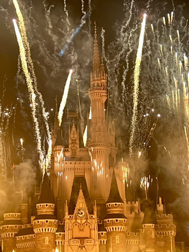東京ディズニーランドは、人生で少なくとも一度は訪れるべき場所です