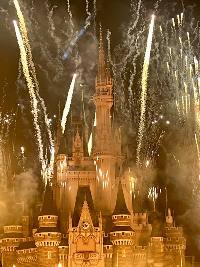 東京ディズニーランドは、人生で少なくとも一度は訪れるべき場所です