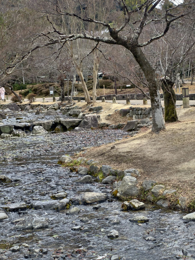 不經意到訪了円山公園是成了京都此行最舒適的地方