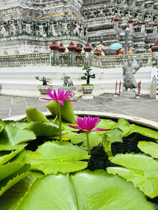 สัมผัสเสน่ห์วัดอรุณฯ แลนด์มาร์กริมเจ้าพระยา