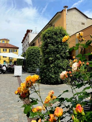Strolling Through Alba: A Charming and Classic City.