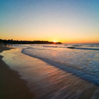 ✨ A Golden Evening at Manly