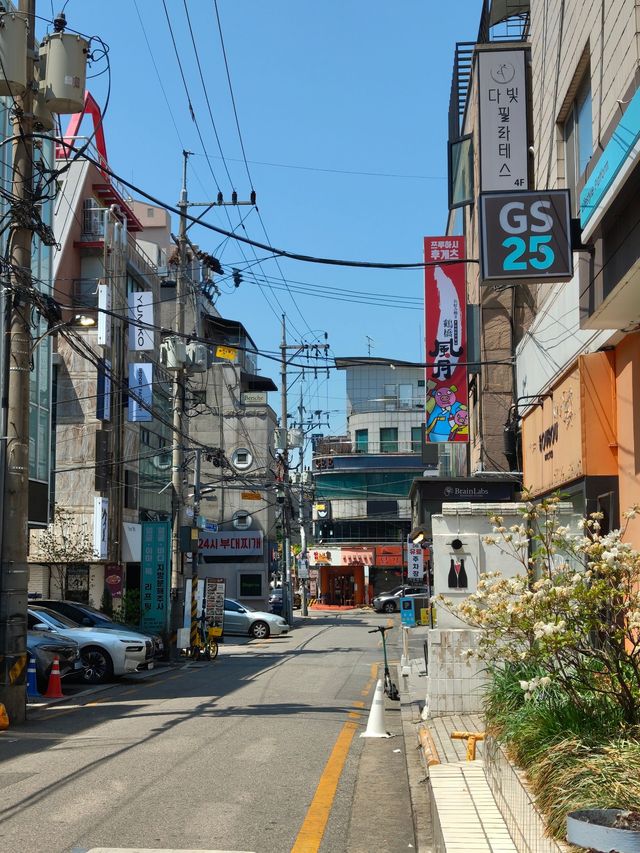 🇰🇷✨Seoul Travel Guide: Exploring Gangnam from Coex & Parnas