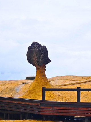 🏞️台湾の野柳地質公園(Yehliu Geopark)🏞️