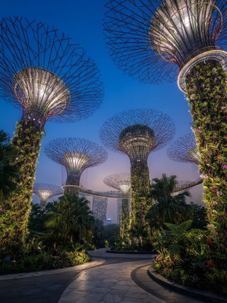 🌿✨ Gardens by the Bay — สวนแห่งอนาคตที่ต้องเห็นด้วยตาตัวเอง 🇸🇬