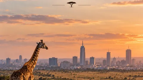 🇰🇪 ナイロビ国立公園 — ケニアの首都に隣接する野生動物の楽園 🦒🌿 — traveler post in ナイロビ