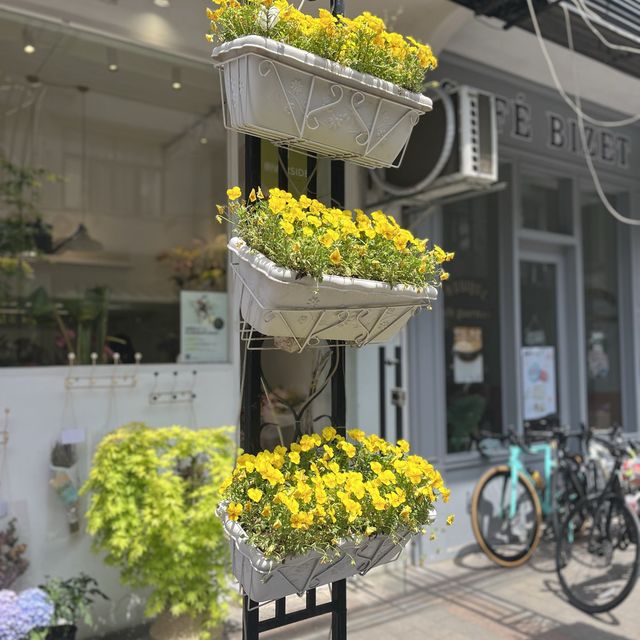 Spring in Shanghai  Spring in Shanghai