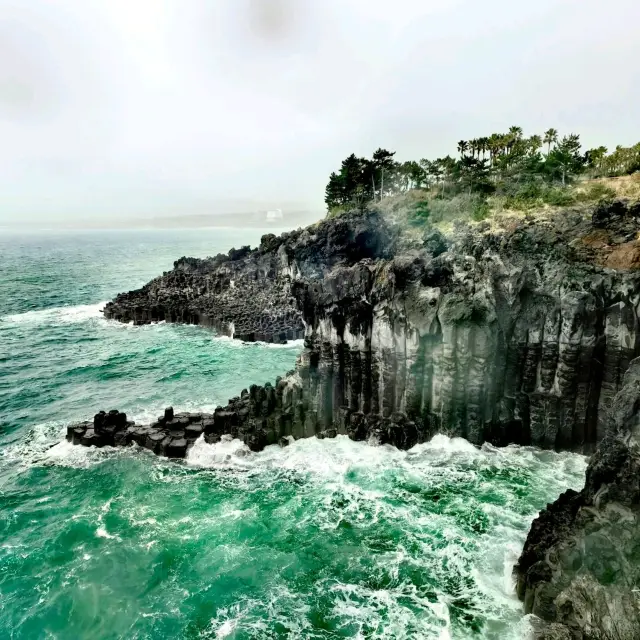 Nature's Symphony at Jusangjeolli Cliff