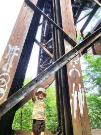 Roots, Rocks, and Rivers: Exploring Grand Ledge’s Hidden Trails