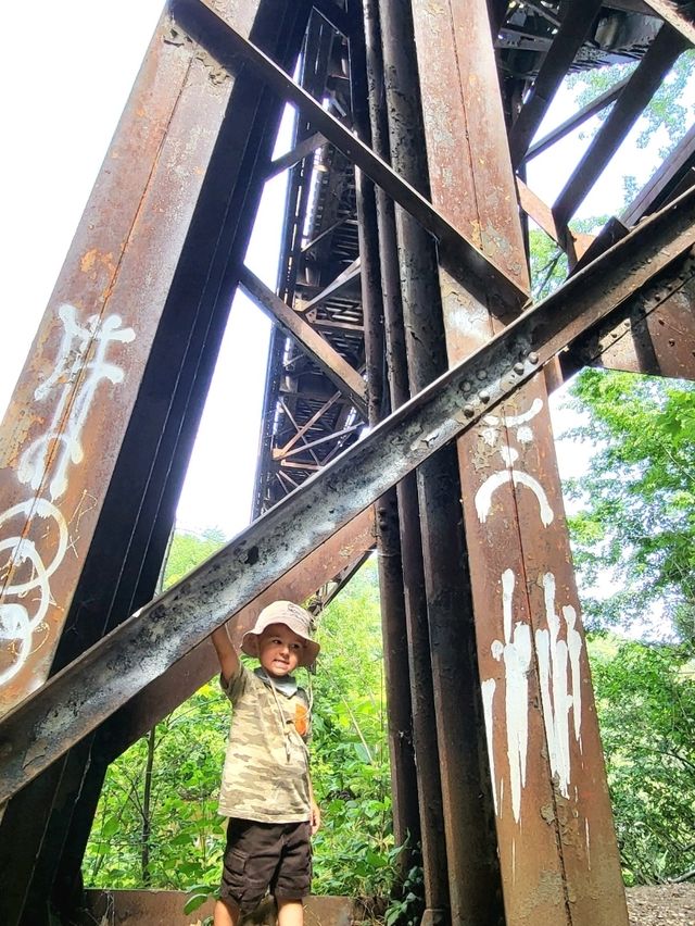Roots, Rocks, and Rivers: Exploring Grand Ledge’s Hidden Trails