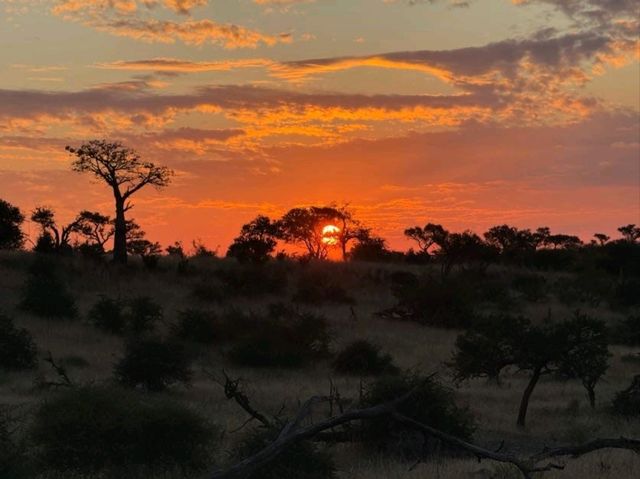 Majestic. Beauty. Stunning. South Africa at its finest