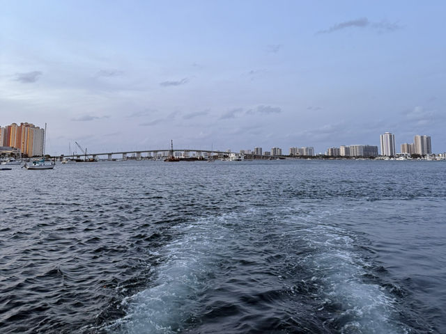 Sunset cruise 