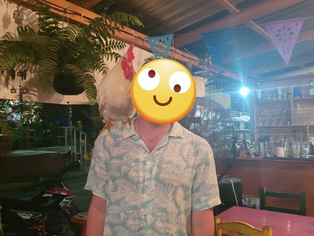  Mexico Adventure