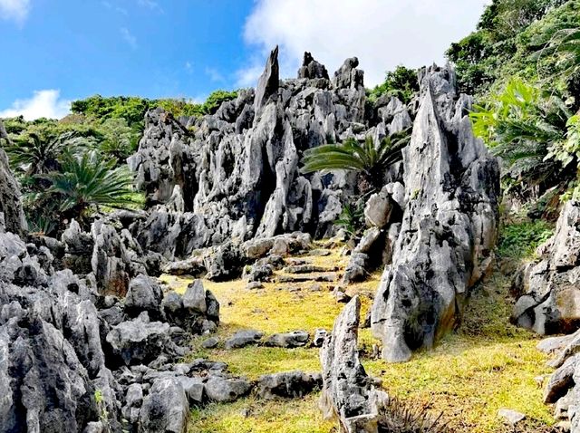 美麗海展望台