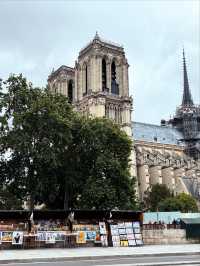 ⛪✨ Notre-Dame Cathedral: Paris’ Timeless Gothic Masterpiece ✨⛪    