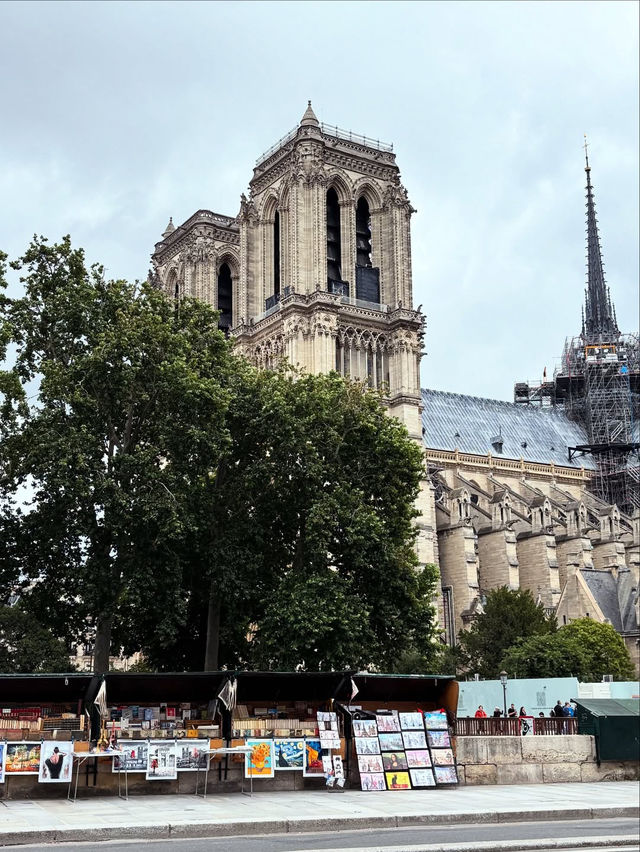 ⛪✨ Notre-Dame Cathedral: Paris’ Timeless Gothic Masterpiece ✨⛪    