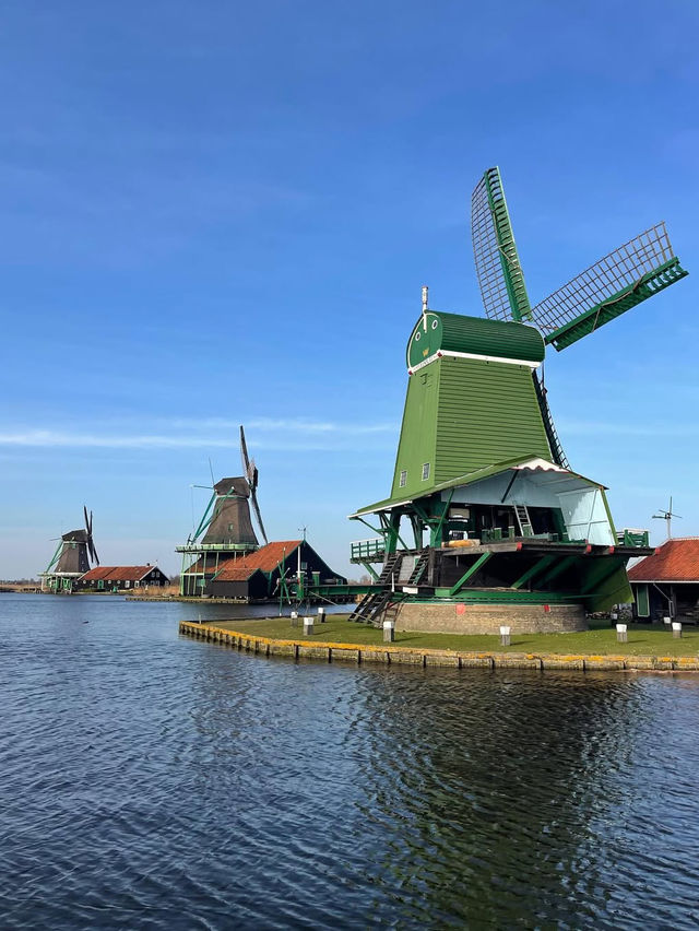 A Picturesque Journey Through Dutch Heritage 🌿🏡