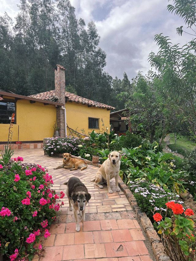 🇨🇴山に泊まる贅沢：Hostal Villa San Juan滞在記