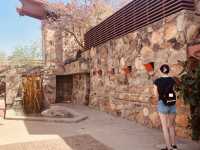 Taliesin West, 鳳凰城近郊小眾景點，建築大師賴特築夢之地