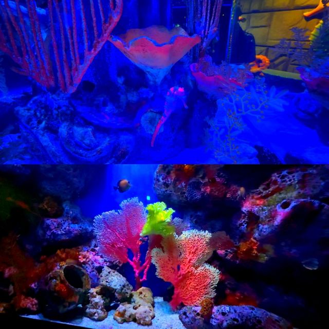 SEA LIFE Bangkok Ocean World