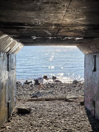 🪨日落美食地點 White Rock + 隱藏海灘 1001 Steps 一日遊。