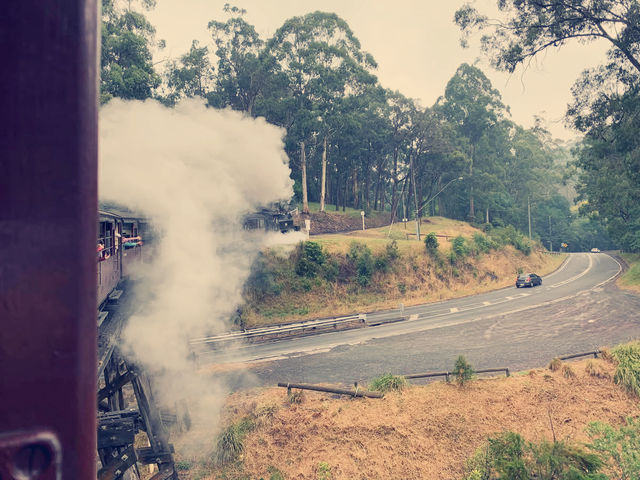 墨爾本Puffing Billy 蒸汽小火車魔幻時刻